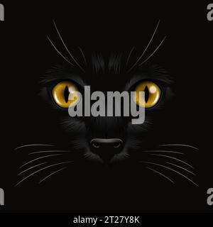 Vector 3d Realistic Yellow o Orange Cats Eye of a Black Cat in the Dark, di notte. Cat Face con Yes, Nose, Whiskers on Black. Cat Closeup Look in Illustrazione Vettoriale