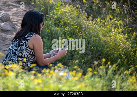 Ragazza latina che guarda il telefono in un campo. Foto Stock