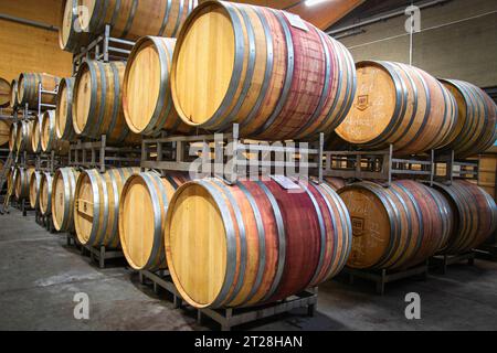 Cantina di una moderna cantina con botti di legno e silos in acciaio inox Foto Stock