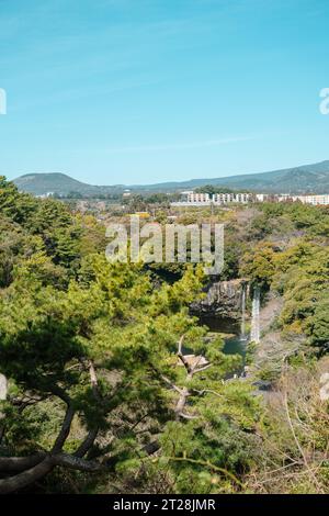 Cascata Cheonjiyeon e vista del parco forestale verde sull'isola di Jeju, Corea Foto Stock