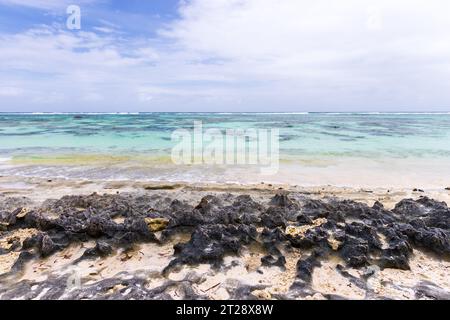 Rocce nere affilate sulla costa dell'isola di la Digue, vista sulla spiaggia di Anse Union. Paesaggio costiero. Seychelles Foto Stock