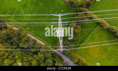 Un uomo ha costruito una torre d'acciaio con linee elettriche in mezzo alla natura, agli alberi e ai prati in Germania Foto Stock