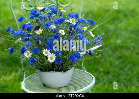 Bouquet di fiori di mais in uno sfondo naturale Foto Stock