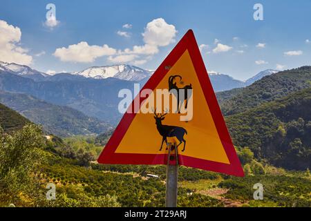 Cartello di avvertimento triangolare, cervo, capra, paesaggio verde, cielo nuvoloso blu, montagne bianche innevate, Lefka Ori, Creta, Grecia Foto Stock