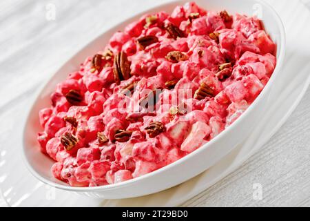 primo piano dell'insalata cremosa di mirtilli con mini marshmallow, mela fresca e noci pecan in una ciotola bianca su un tavolo di legno bianco Foto Stock