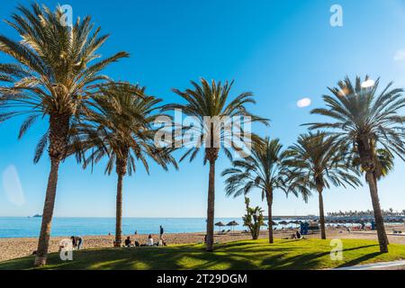 La splendida spiaggia di Malagueta e le sue palme nella città di Malaga, Andalusia. Spagna Foto Stock