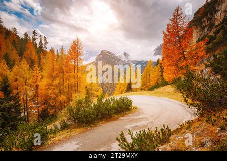 Immagine mozzafiato della strada alpina. Drammatica scena mattutina, clima cupo. Località Parco Nazionale delle tre Cime di Lavaredo, Misurina, Dolomit Foto Stock