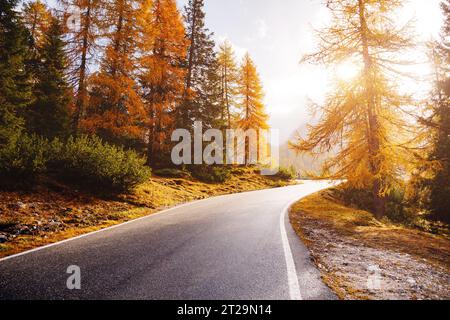 Immagine mozzafiato della strada alpina. Drammatica scena mattutina, clima cupo. Località Parco Nazionale delle tre Cime di Lavaredo, Misurina, Dolomit Foto Stock