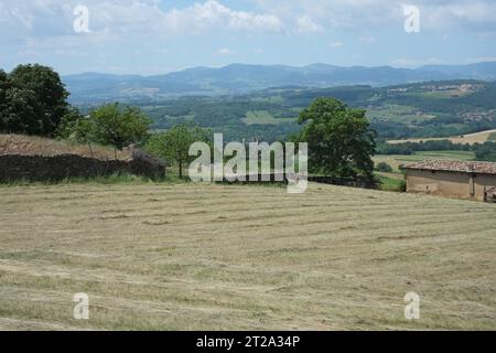 I campi collinari del villaggio di Charnay dopo la raccolta con foreste e un castello in rovina nella valle sottostante e montagne in lontananza in Francia Foto Stock