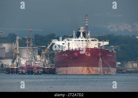 La tratta transalpina dell'oleodotto (tal) lunga 753 km collega la città italiana di Trieste con la Germania. L'immagine viene dal terminal marittimo di Tri Foto Stock