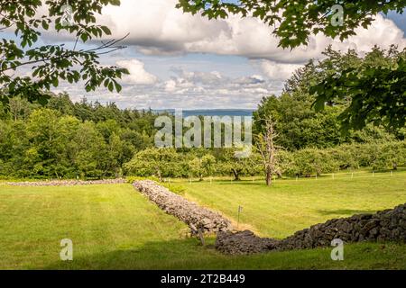 Nuova fattoria di Salem che vende sidro fatto in casa utilizzando mele del loro frutteto Foto Stock