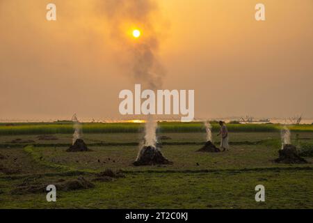 Incenerimento dei rifiuti agricoli - smog e inquinamento. Emissioni nocive derivanti dalla combustione di fieno e paglia nei campi agricoli. Chandpur, Bangladesh Foto Stock