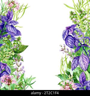 Cornice quadrata acquerello con erbe da giardino e piatti vintage in stile rustico. Illustrazione con erbe fresche da cucina. Salvia, prezzemolo, lattuga, aneto, Foto Stock