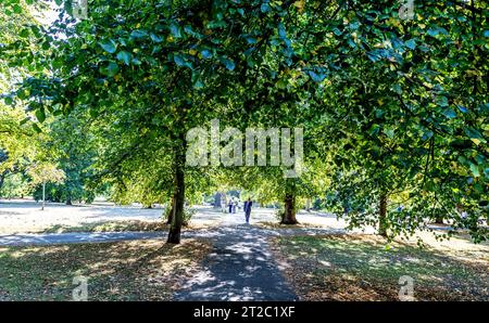 Turisti che camminano a Hyde Park Londra, Regno Unito Foto Stock