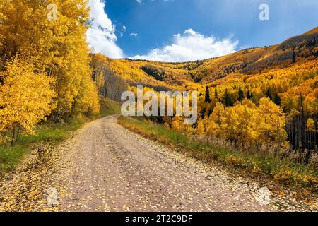 Una strada sterrata che si snoda tra gli alberi di asfalto autunnali delle San Juan Mountains vicino a Rico, Colorado Foto Stock