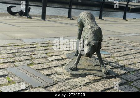 Dublino, Irlanda. 4 ottobre 2023. 20231004: Un cane affamato in scultura di bronzo fa parte del Memoriale della carestia lungo Customs House Quay a Dublino. Inaugurato nel 1997, il memoriale onora le vittime della grande carestia che colpì l'Irlanda a metà degli anni '1800, e quelle costrette a lasciare il paese a causa della fame. (Immagine di credito: © Chuck Myers/ZUMA Press Wire) SOLO USO EDITORIALE! Non per USO commerciale! Foto Stock