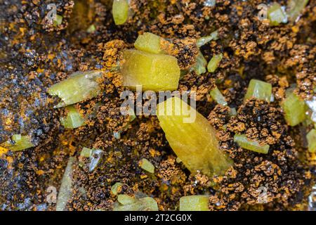 Primo piano, cristalli Wulfenite giallo-arancione dalla Germania. Incastonata nella roccia di ferro. Foto Stock