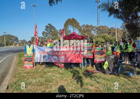 19 ottobre 2023 Stanhope Victoria Australia. I lavoratori del settore lattiero-caseario trasportano conducenti di autocisterne per il latte che percepiscono una retribuzione migliore per far fronte all'aumento dei costi delle pressioni di vita in più siti Foto Stock