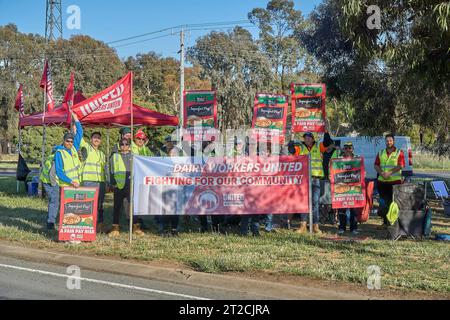 19 ottobre 2023 Stanhope Victoria Australia. I lavoratori del settore lattiero-caseario diffusi trasportano conducenti di autocisterne per il latte che colpiscono per una migliore retribuzione. Per far fronte all'aumento del costo delle pressioni viventi Foto Stock