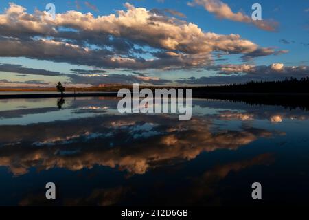 Nel tardo pomeriggio si riflette cumulativamente nelle acque del lago Yellowstone vicino al Grant Village nel Lake Yellowstone National Park. Foto Stock