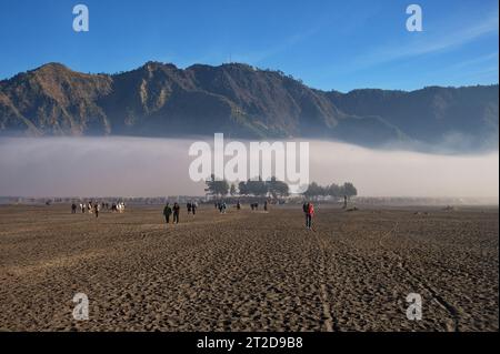 Gruppo di turisti che camminano sulla pianura sotto il Monte Bromo vulcano, Indonesia Foto Stock