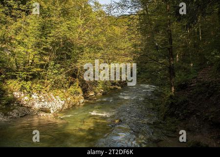 Il fiume Kamacnik a Kamacnik Kanjon, Primorje-Gorski Kotar County, Croazia nord-occidentale, agosto Foto Stock