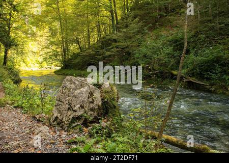 Il fiume Kamacnik a Kamacnik Kanjon, Primorje-Gorski Kotar County, Croazia nord-occidentale. Agosto Foto Stock