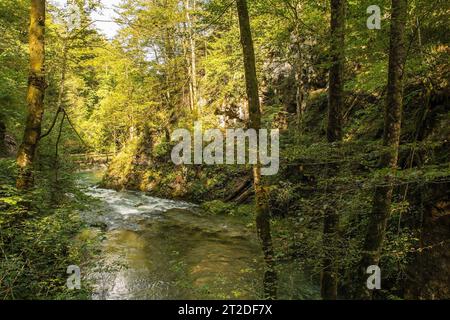 Il fiume Kamacnik a Kamacnik Kanjon, Primorje-Gorski Kotar County, Croazia nord-occidentale. Agosto Foto Stock