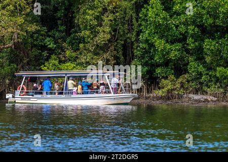 Coccodrillo di acqua salata, Crocodylus porosus, sulla riva di un fiume selvaggio vicino a Cairns nell'estremo nord del Queensland Foto Stock