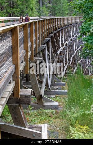 Trestle Bridge sul Galloping Goose Trail, Sooke Potholes Regional Park Foto Stock