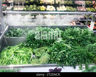 Verde fresco ecologico green di piante di prezzemolo aneto insalata rucola cipolle e altri alimenti vegetali si trova in un moderno frigorifero in un super Foto Stock