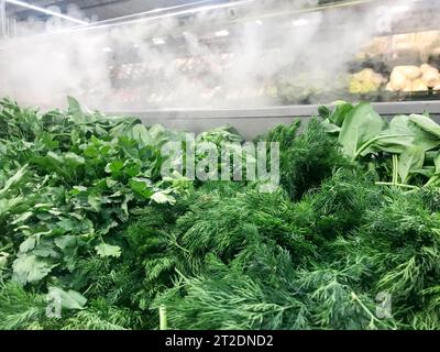 Verdi verdi verdi verdi verdi e rispettosi dell'ambiente di piante di prezzemolo aneto insalata cipolle rucola e altri alimenti vegetali con goccioline d'acqua e vapore nel Foto Stock