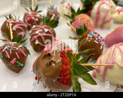 primo piano dell'azione di immergere le fragole fresche nel cioccolato fondente a casa. Foto Stock