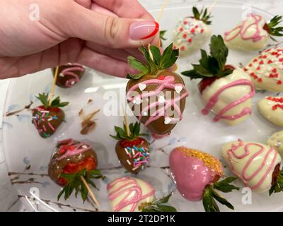 Una donna tiene in mano una scatola di fragole ricoperte di cioccolato, dessert per San Valentino, romanticismo, cibo come regalo. Fragole rosse fatte in casa Foto Stock