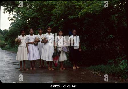 Ragazze scolastiche in uniforme, di ritorno da School, Dharampur, Gujrat, India. Foto Stock