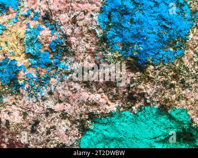 vernice su pietra. consistenza da materiali naturali. sulla lastra di pietra vengono disegnati cerchi di colore blu e verde. il muschio cresce sulla pietra a causa dell'umidità. b naturale Foto Stock