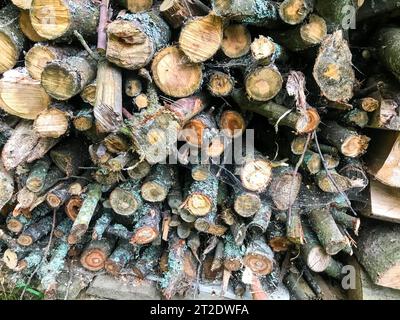 la legna da ardere per il riscaldamento domestico è impilata in un cumulo uniforme. struttura in legno. tronchi, legna da ardere sono impilati l'uno accanto all'altro. riscaldamento naturale della sala, con b Foto Stock