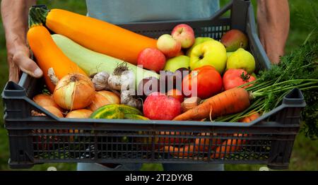 Cibo biologico. Prodotti da giardino e verdure raccolte. Ortaggi freschi di fattoria in scatola tenuti dalle mani degli agricoltori Foto Stock