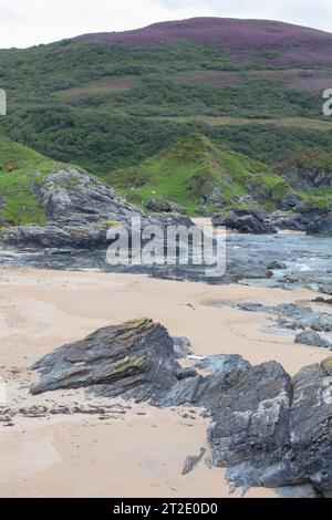 Spettacolari calanchi, archi e arcate marine caratterizzano la costa tra Kintra e Port Alsaig su Islay. Foto Stock