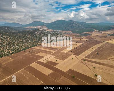 Vista aerea dei campi appena arati in autunno dopo il raccolto Foto Stock