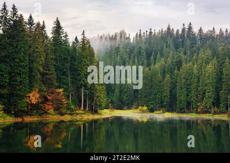 lago di montagna tra boschi in autunno. paesaggi naturali nella nebbia all'alba. clima freddo coperto Foto Stock
