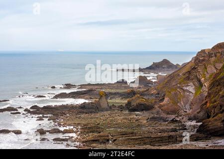 Bassa marea a Warren Beach vicino a Hartland Quay, costa del North Devon, Regno Unito Foto Stock