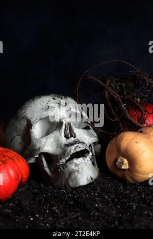 Teschio in gesso a terra, composizione per Halloween. Cranio umano, zucche e radici vegetali su sfondo scuro. Primo piano del cranio Foto Stock