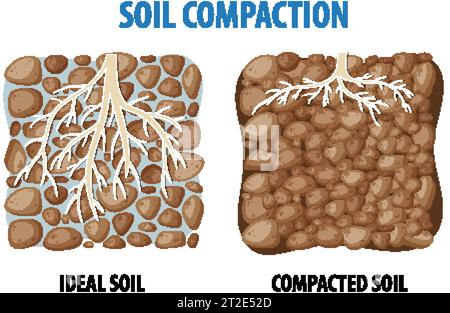 Diagramma illustrato che confronta la densità di compattazione del suolo per l'apprendimento della scienza Illustrazione Vettoriale