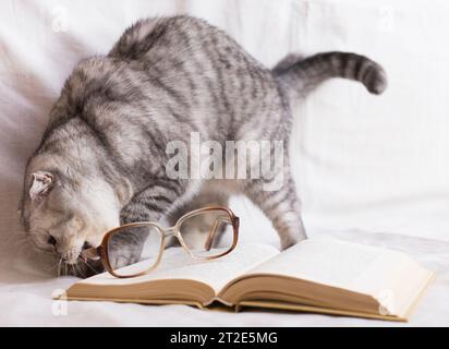 Divertenti occhiali da vista scozzesi con pieghe a libro aperto Foto Stock
