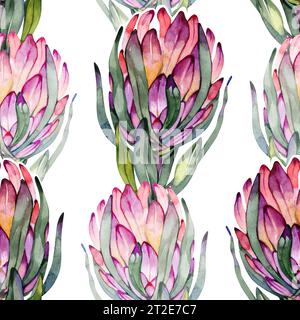 Motivo floreale senza cuciture. Rosa Protea con molta vegetazione, carta digitale stilizzata. Foto Stock