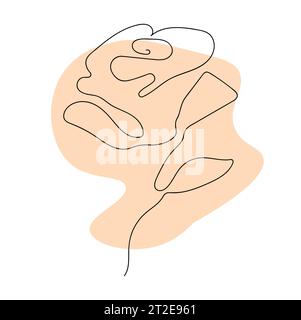 Rosa a una linea. Illustrazione vettoriale in stile minimalista disegnata a mano. Illustrazione Vettoriale