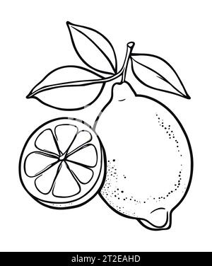 Icona nera vettoriale di limone e agrumi. Illustrazione Vettoriale