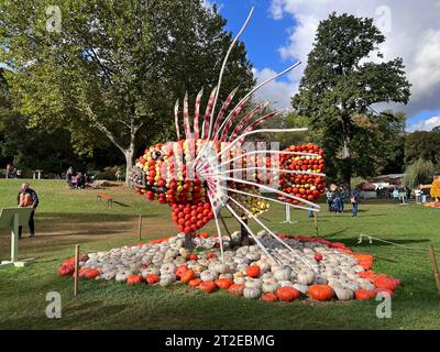 Festival della zucca a Ludwigsburg, Germania, 15 ottobre 2023: Il 25 agosto 2023 è stata inaugurata la più grande mostra al mondo di zucche nel Blooming Baroque. Lo farà Foto Stock