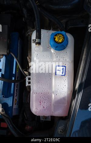 Serbatoio o serbatoio di espansione liquido di raffreddamento per auto o antigelo, montato in un vano motore. Primo piano, niente persone, refrigerante rosa G12 all'interno. Foto Stock